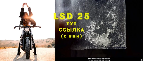 PSILOCYBIN Богданович