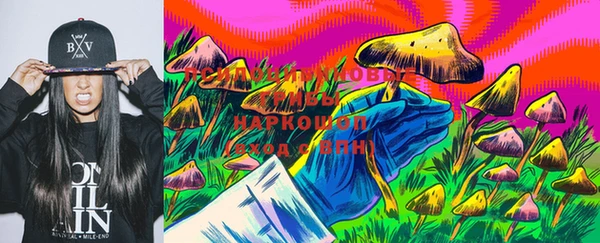 таблы Богородск