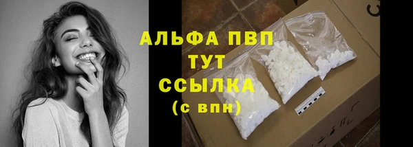 PSILOCYBIN Богданович