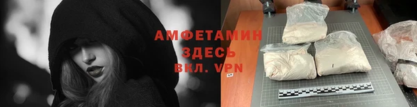 PSILOCYBIN Богданович
