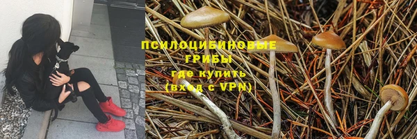 PSILOCYBIN Богданович