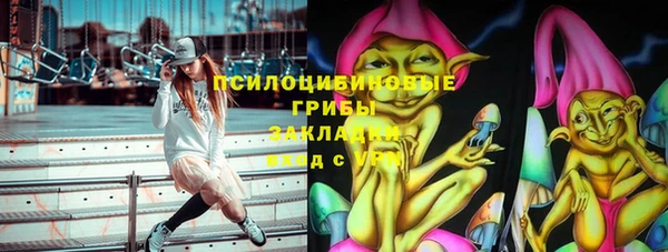 винт Богородицк