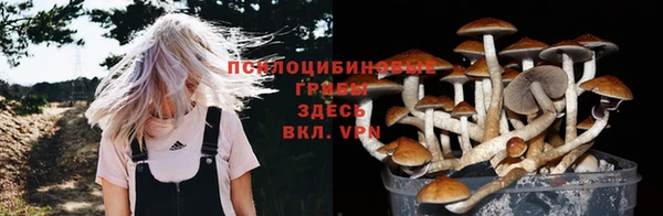 винт Богородицк