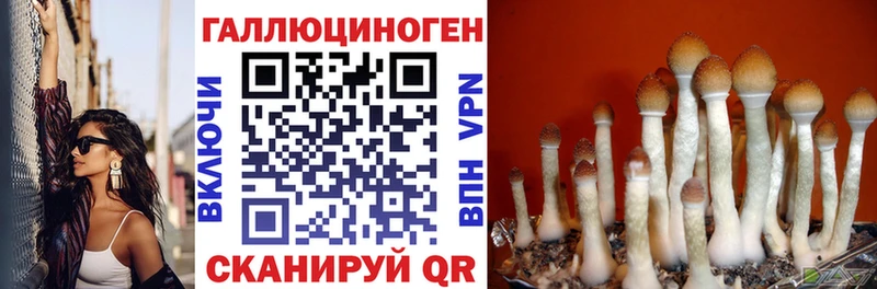 наркошоп  Мышкин  Галлюциногенные грибы мицелий 